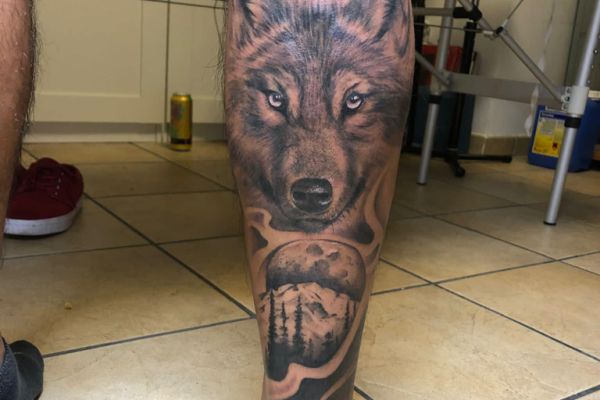 lobo692E9D8A-3B68-CB00-2953-5FF6B6D69E1B.jpg